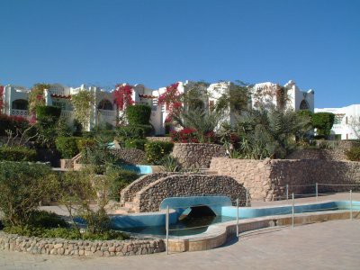 Отель Domina Hotel & Resort Oasis 5*