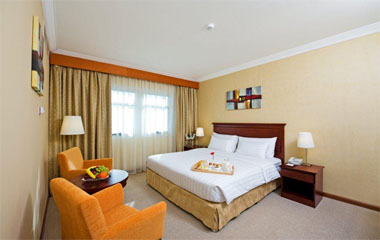 Номер отеля Auris Lodge 3*