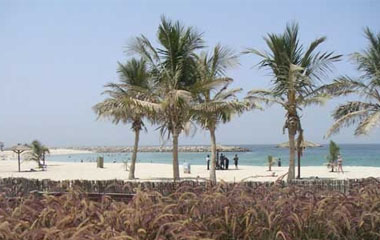 Пляж отеля Dubai Palm Hotel 3*