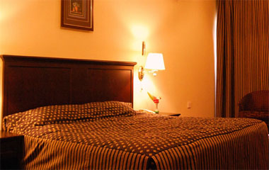 Номер отеля Dubai Palm Hotel 3*