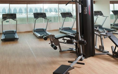 Отель Holiday Inn Express Dubai-Airport 2*