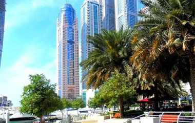 Отель Marriott Harbour Hotel & Suites 4*