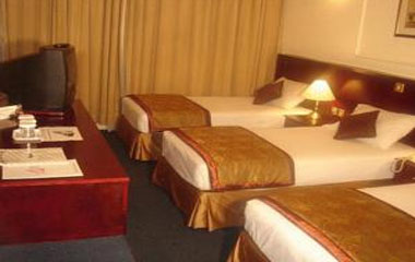 Номер отеля Orchid Hotel 3* Номер отеля Orchid Hotel 3*