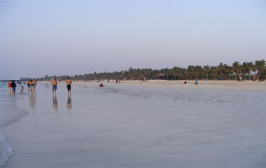 Пляж отеля Palm Beach Hotel 3* Пляж отеля Palm Beach Hotel 3*